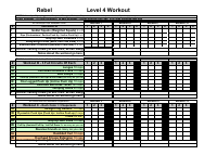 Level 4 Rebel Workout Sheet.pdf